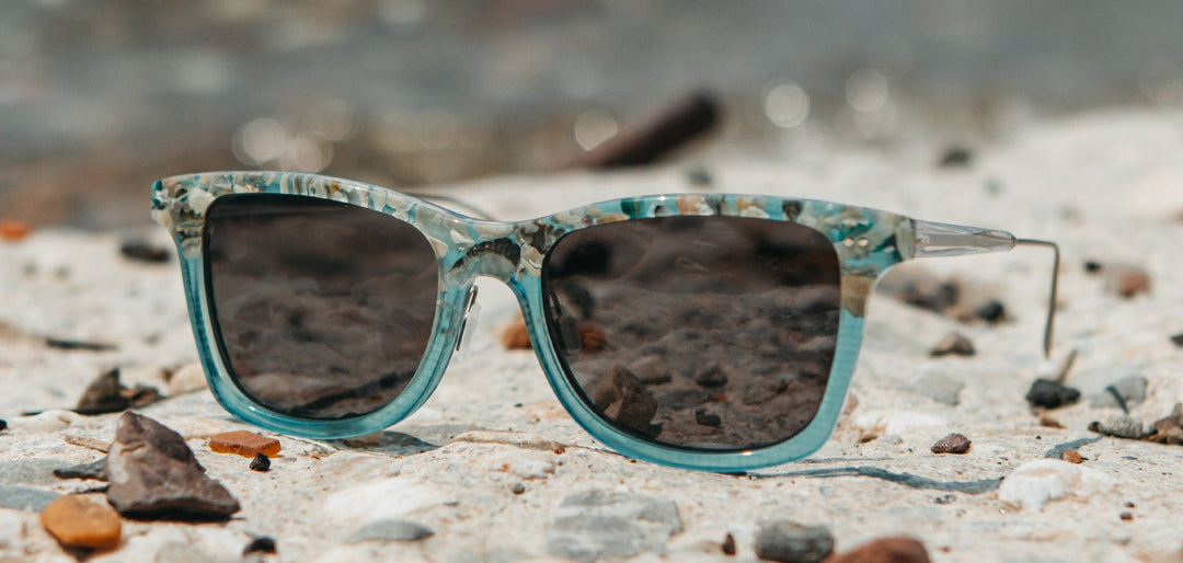 Canby Seashell Sunglasses