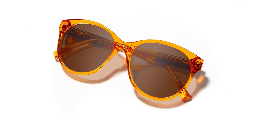 Tangerine*Elm Burl*Brown Fade Polarized | Shwood Madison Acetate Sunglasses