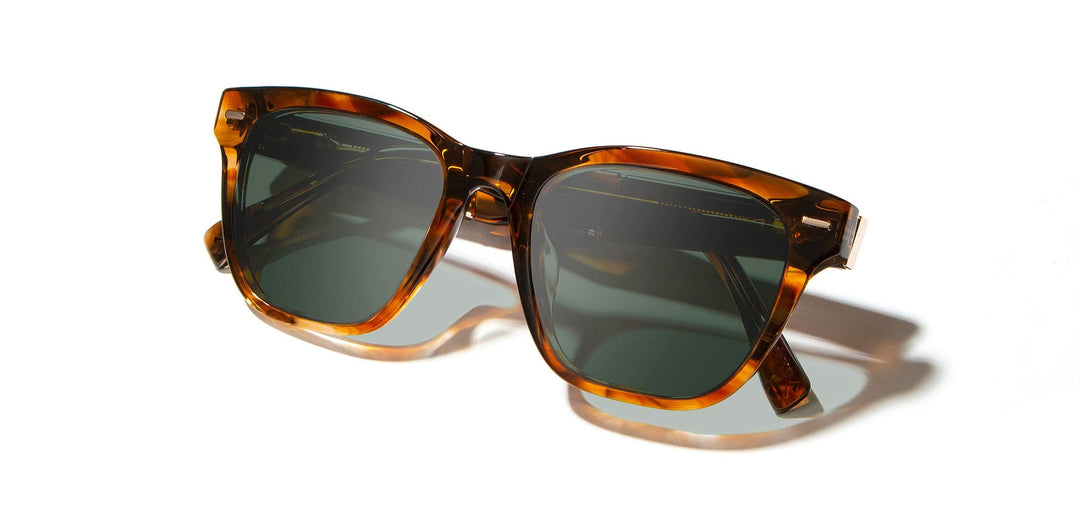 Autumn*Elm Burl*G15 + Autumn*Elm Burl*G15 Polarized | Shwood Ankeny Acetate Sunglasses Autumn