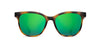 Matte Tortoise*Walnut*HD Plus Polarized Green Flash | CAMP Cove Matte Tortoise Walnut Sunglasses