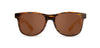 Tortoise*Harding*Brown Polarized | Pendleton Gabe Sunglasses