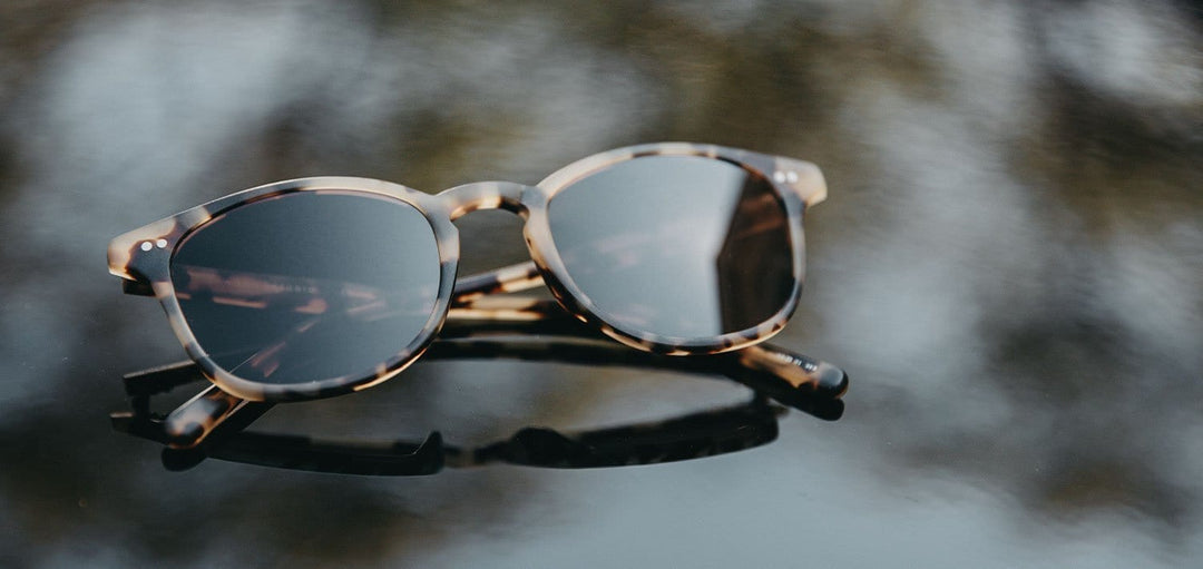 Matte Havana*Brown + Matte Havana*Brown Polarized | Shwood Kennedy Acetate Sunglasses Matte Havana