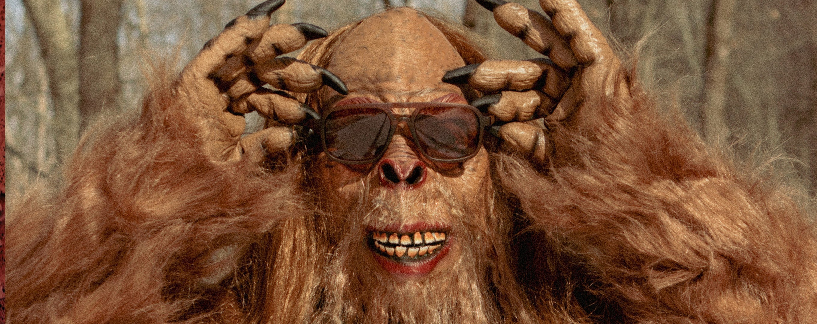 Bigfoot Collection – Shwood Eyewear