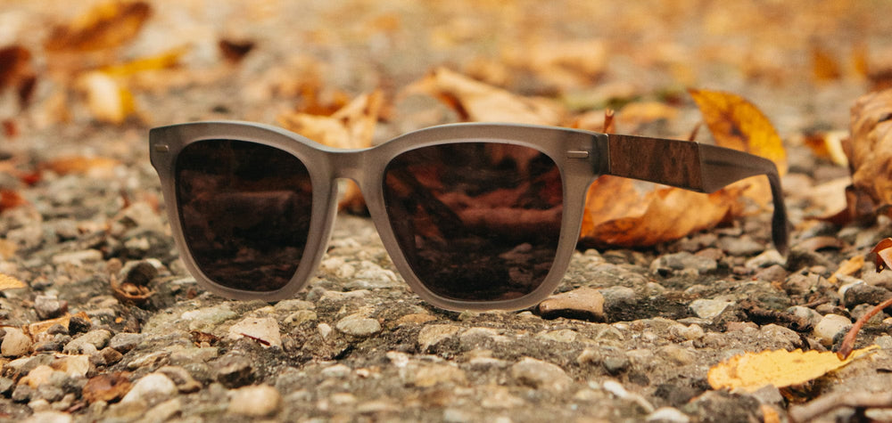 Matte Smoke*Elm Burl*Grey + Matte Smoke*Elm Burl*Grey Polarized | Shwood Ankeny Acetate Sunglasses Matte Smoke