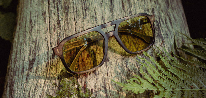 Distressed Dark Walnut*Yellow Polarized | Auburn Wood Smokey Bear Sunglasses