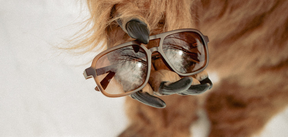 Matte Mud*Walnut*Basic Polarized Brown Fade + Matte Mud*Walnut*HD Plus Polarized Brown Fade | CAMP Glacier Bigfoot Sunglasses