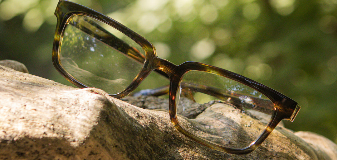 Jaguar*Elm Burl*frames only | Shwood Danner Acetate RX Eyeglasses Jaguar