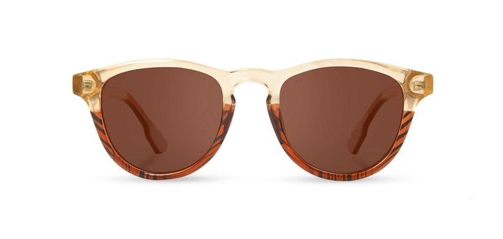 Canyon*Elm Burl*Lite Brown + Canyon*Elm Burl*Lite Plus Polarized Brown | Shwood Francis ACTV Sunglasses Canyon