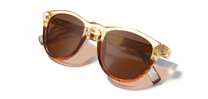 Canyon*Elm Burl*Lite Brown + Canyon*Elm Burl*Lite Plus Polarized Brown | Shwood Francis ACTV Sunglasses Canyon