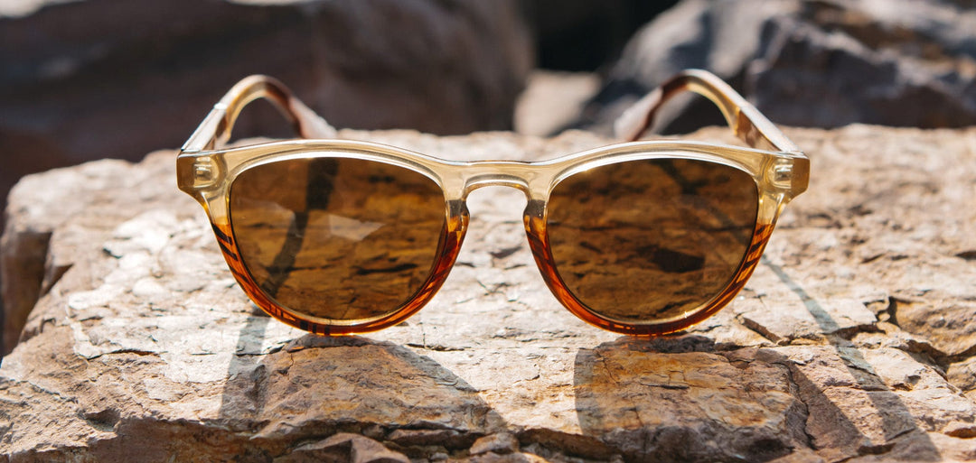 Canyon*Elm Burl*Lite Brown + Canyon*Elm Burl*Lite Plus Polarized Brown | Shwood Francis ACTV Sunglasses Canyon