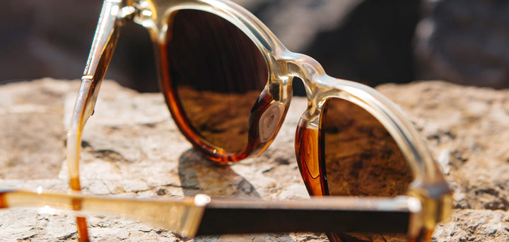 Canyon*Elm Burl*Lite Brown + Canyon*Elm Burl*Lite Plus Polarized Brown | Shwood Francis ACTV Sunglasses Canyon