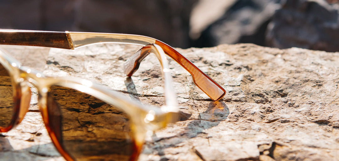 Canyon*Elm Burl*Lite Brown + Canyon*Elm Burl*Lite Plus Polarized Brown | Shwood Francis ACTV Sunglasses Canyon