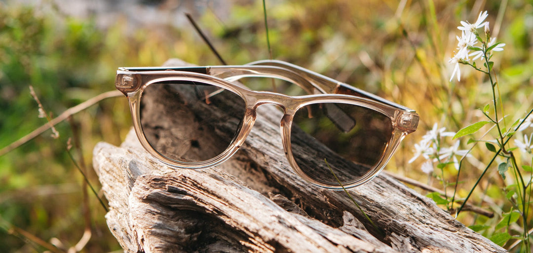 Champagne*Elm Burl*Lite G15 + Champagne*Elm Burl*Lite Plus Polarized G15 | Shwood Francis ACTV Sunglasses Champagne