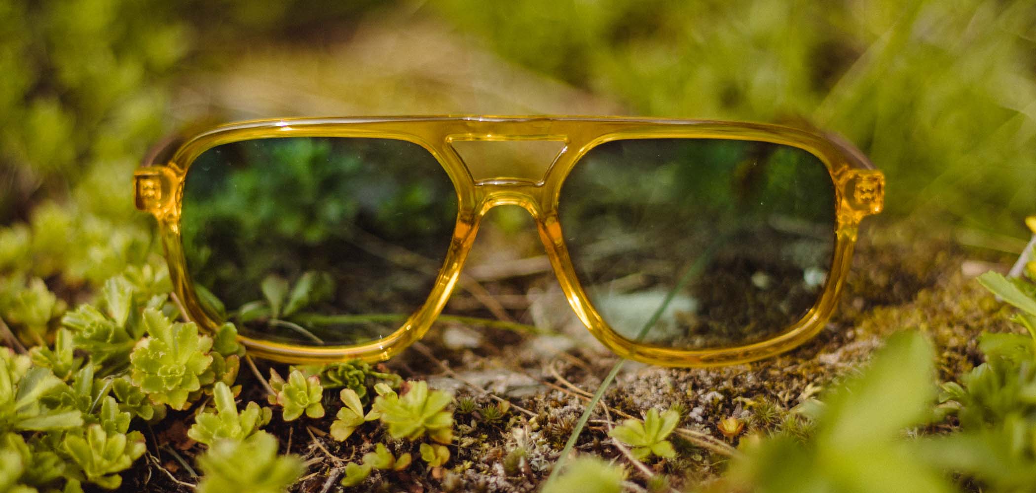 CAMP Glacier Sunglasses - Yellowstone National Park Edition