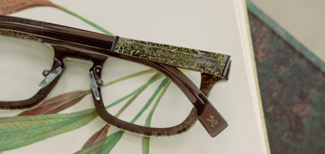 Moss*frames only | Shwood Perry Stabilized RX Eyeglasses