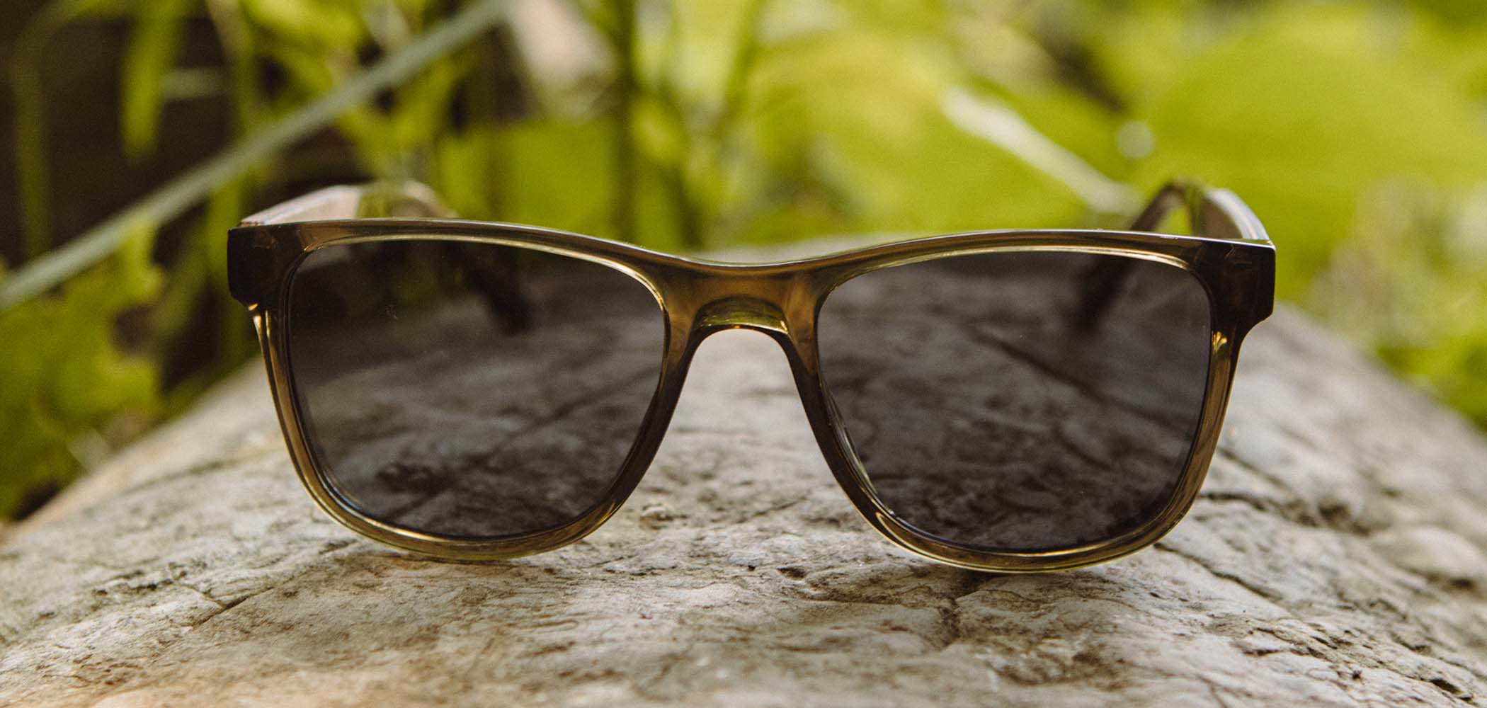 CAMP Trail Sunglasses - Glacier National Park Edition – Shwood Eyewear