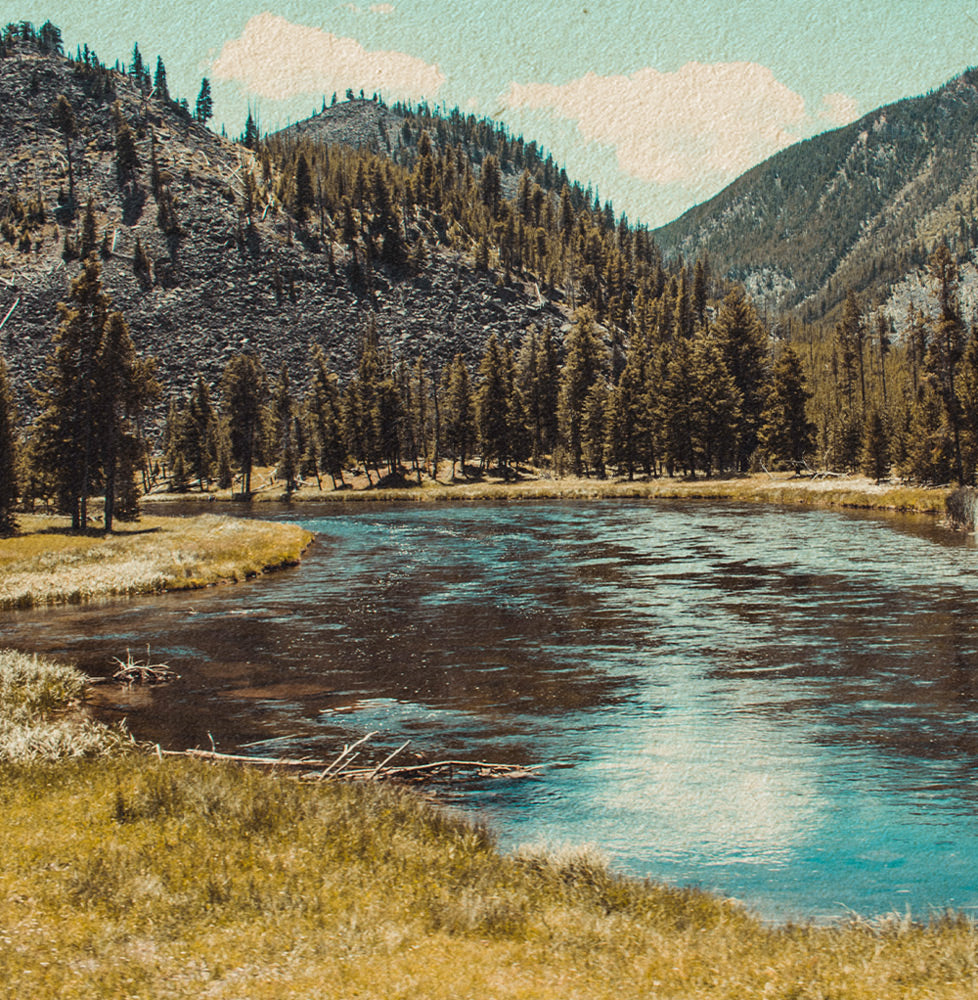 Yellowstone National Park sunglasses