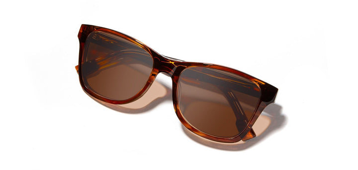 Bourbon*Elm Burl*Brown + Bourbon*Elm Burl*Brown Polarized | Shwood Canby XL Acetate Sunglasses Bourbon
