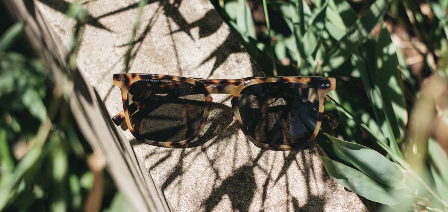 Shwood Hamilton - Acetate Sunglasses - Designer Sunglasses