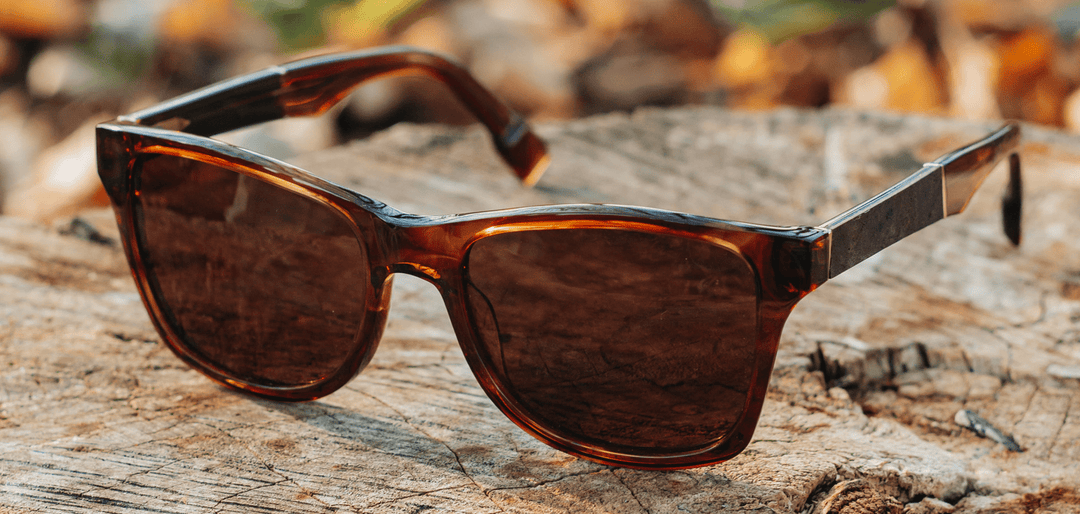 Bourbon*Elm Burl*Brown + Bourbon*Elm Burl*Brown Polarized | Shwood Canby XL Acetate Sunglasses Bourbon