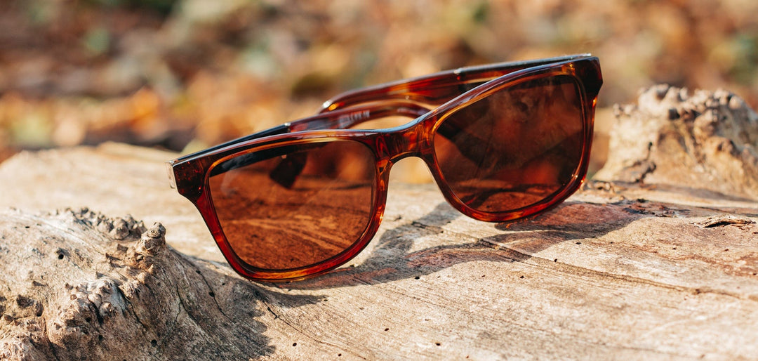 Bourbon*Elm Burl*Brown + Bourbon*Elm Burl*Brown Polarized | Shwood Canby XL Acetate Sunglasses Bourbon