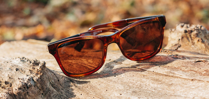 Bourbon*Elm Burl*Brown + Bourbon*Elm Burl*Brown Polarized | Shwood Canby XL Acetate Sunglasses Bourbon